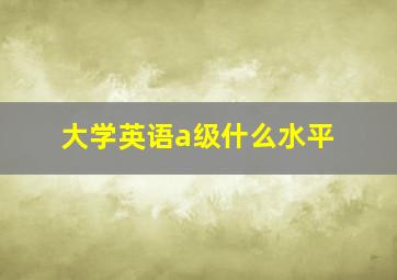 大学英语a级什么水平