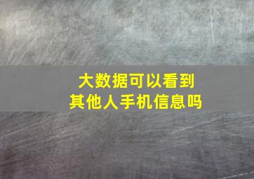 大数据可以看到其他人手机信息吗