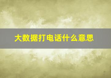 大数据打电话什么意思