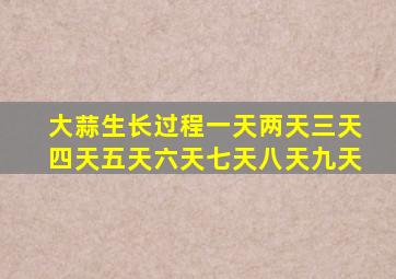 大蒜生长过程一天两天三天四天五天六天七天八天九天