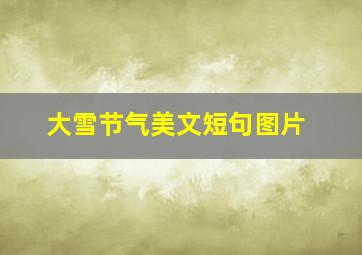 大雪节气美文短句图片