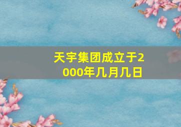 天宇集团成立于2000年几月几日