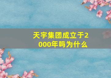 天宇集团成立于2000年吗为什么