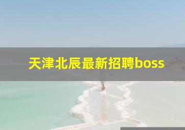 天津北辰最新招聘boss