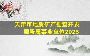 天津市地质矿产勘查开发局所属事业单位2023