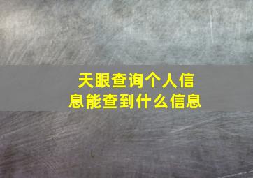 天眼查询个人信息能查到什么信息