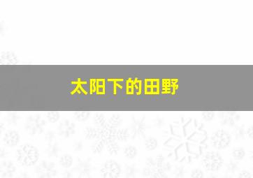 太阳下的田野