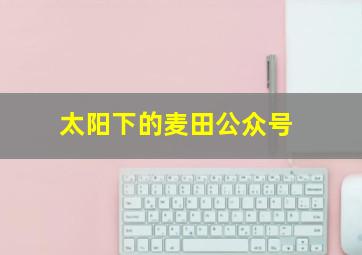 太阳下的麦田公众号