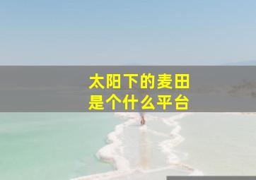 太阳下的麦田是个什么平台