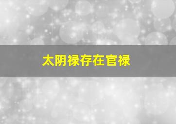 太阴禄存在官禄