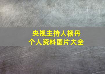 央视主持人杨丹个人资料图片大全