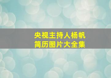 央视主持人杨帆简历图片大全集