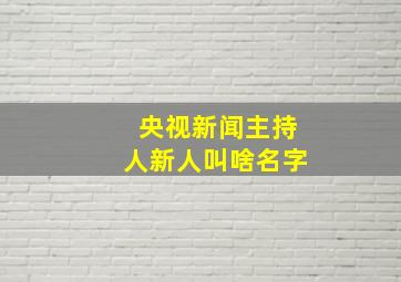 央视新闻主持人新人叫啥名字