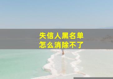 失信人黑名单怎么消除不了