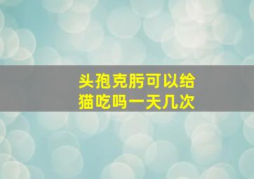 头孢克肟可以给猫吃吗一天几次