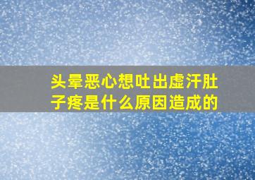 头晕恶心想吐出虚汗肚子疼是什么原因造成的