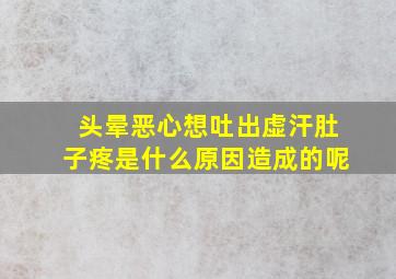 头晕恶心想吐出虚汗肚子疼是什么原因造成的呢