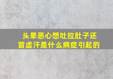 头晕恶心想吐拉肚子还冒虚汗是什么病症引起的