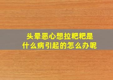 头晕恶心想拉粑粑是什么病引起的怎么办呢