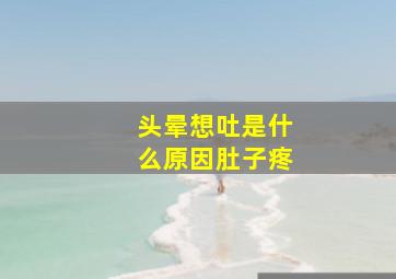 头晕想吐是什么原因肚子疼