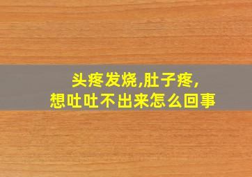 头疼发烧,肚子疼,想吐吐不出来怎么回事