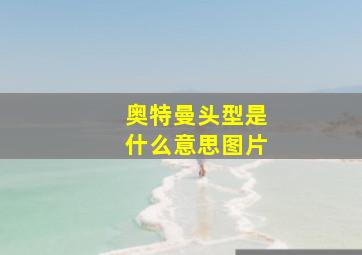 奥特曼头型是什么意思图片