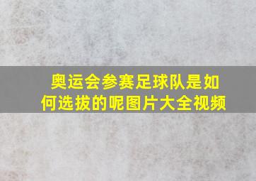 奥运会参赛足球队是如何选拔的呢图片大全视频