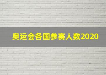 奥运会各国参赛人数2020