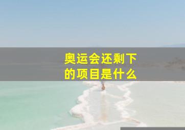 奥运会还剩下的项目是什么