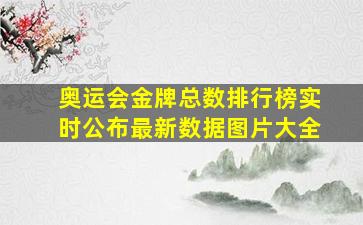 奥运会金牌总数排行榜实时公布最新数据图片大全