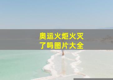 奥运火炬火灭了吗图片大全