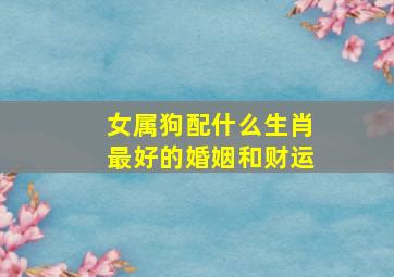 女属狗配什么生肖最好的婚姻和财运