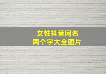 女性抖音网名两个字大全图片