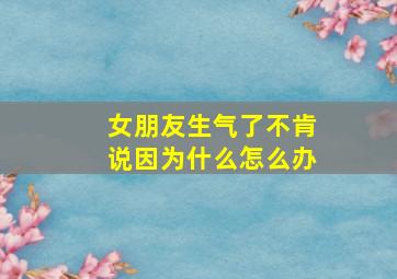 女朋友生气了不肯说因为什么怎么办