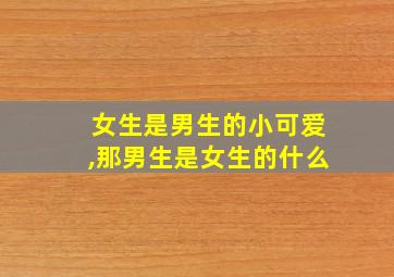 女生是男生的小可爱,那男生是女生的什么