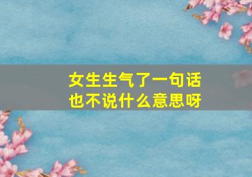 女生生气了一句话也不说什么意思呀