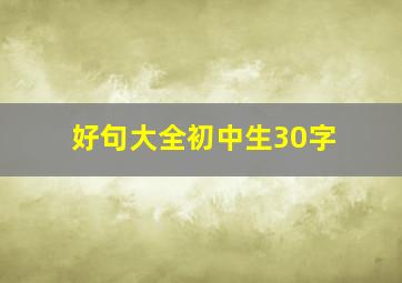 好句大全初中生30字