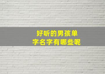 好听的男孩单字名字有哪些呢