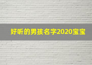 好听的男孩名字2020宝宝