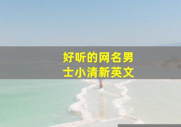 好听的网名男士小清新英文