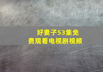 好妻子53集免费观看电视剧视频