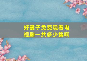 好妻子免费观看电视剧一共多少集啊