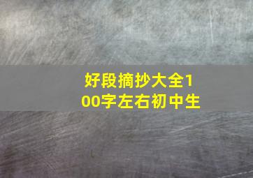 好段摘抄大全100字左右初中生