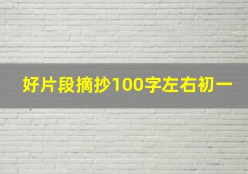 好片段摘抄100字左右初一