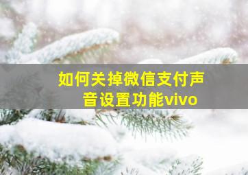 如何关掉微信支付声音设置功能vivo