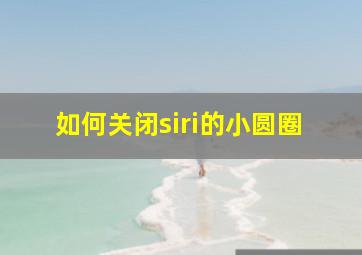 如何关闭siri的小圆圈