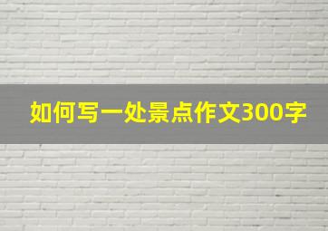 如何写一处景点作文300字