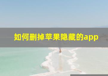 如何删掉苹果隐藏的app