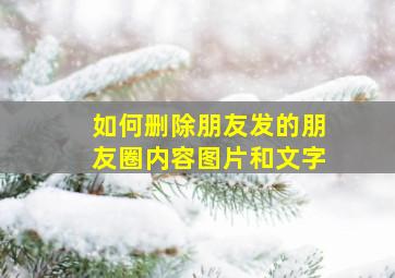 如何删除朋友发的朋友圈内容图片和文字