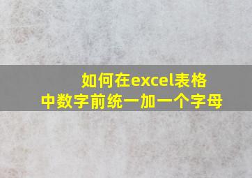 如何在excel表格中数字前统一加一个字母